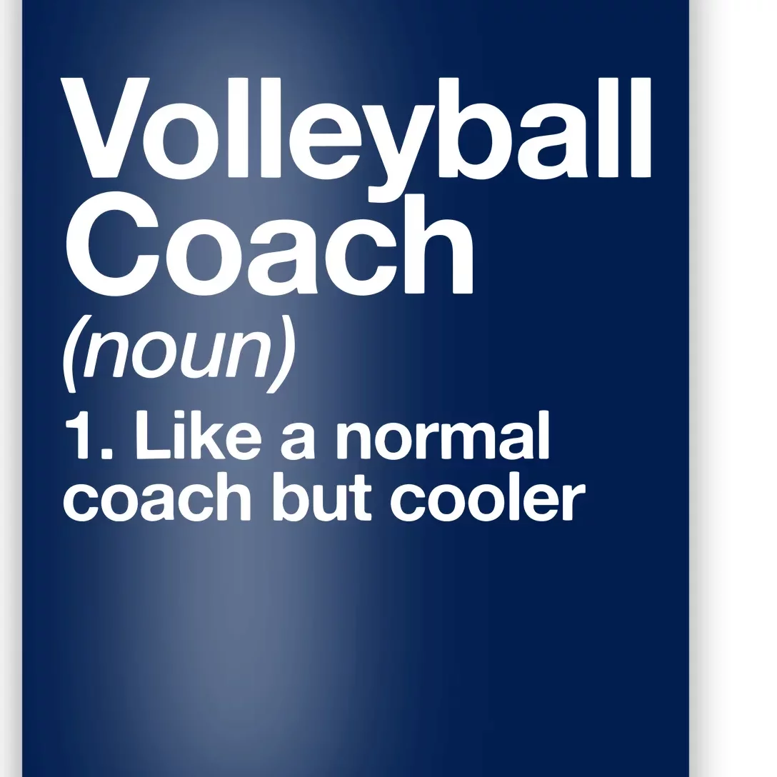 Volleyball Coach Funny Sports Definition Trainer Instructor Poster