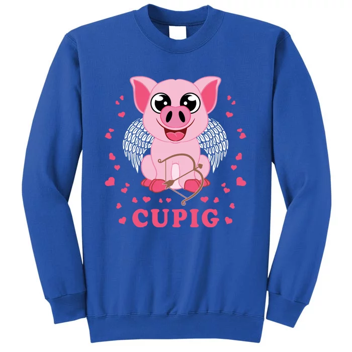 Valentine's Day Cupig Gift Cute Pig Lover Cupid Pun Gift Sweatshirt