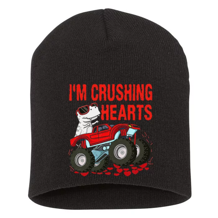 Valentines Day Funny Dino Trex Monster Truck Short Acrylic Beanie