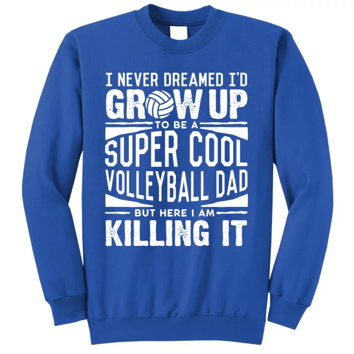 Volleyball Dad Funny Gift Beach Volleyball Lover Fathers Day Gift Sweatshirt