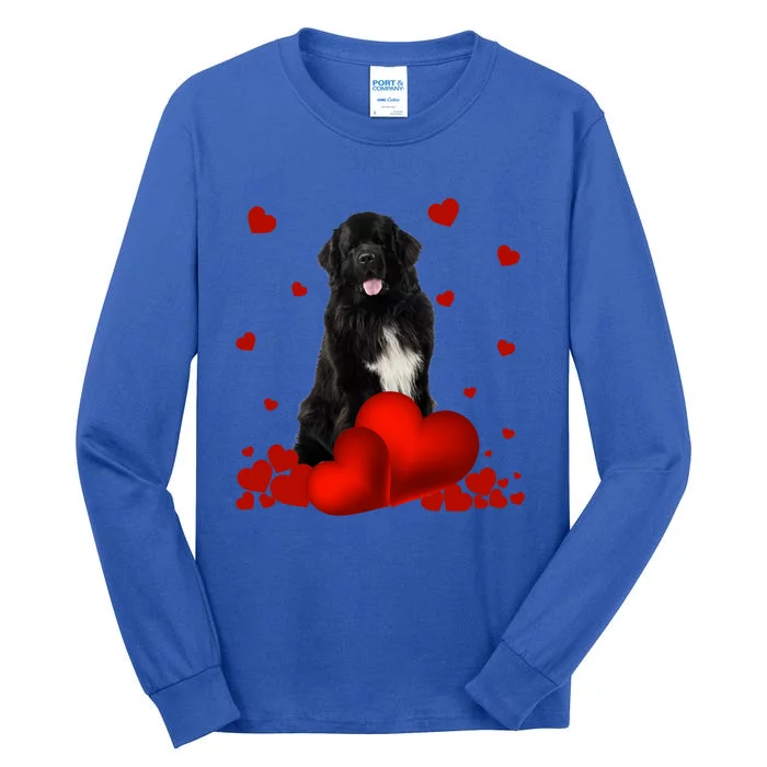 Valentines Day Love Hearts Newfoundland Dog Puppy Lover Gift Tall Long Sleeve T-Shirt