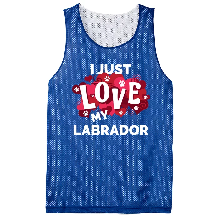 Valentine's Day Labrador Dog Love Gift Mesh Reversible Basketball Jersey Tank