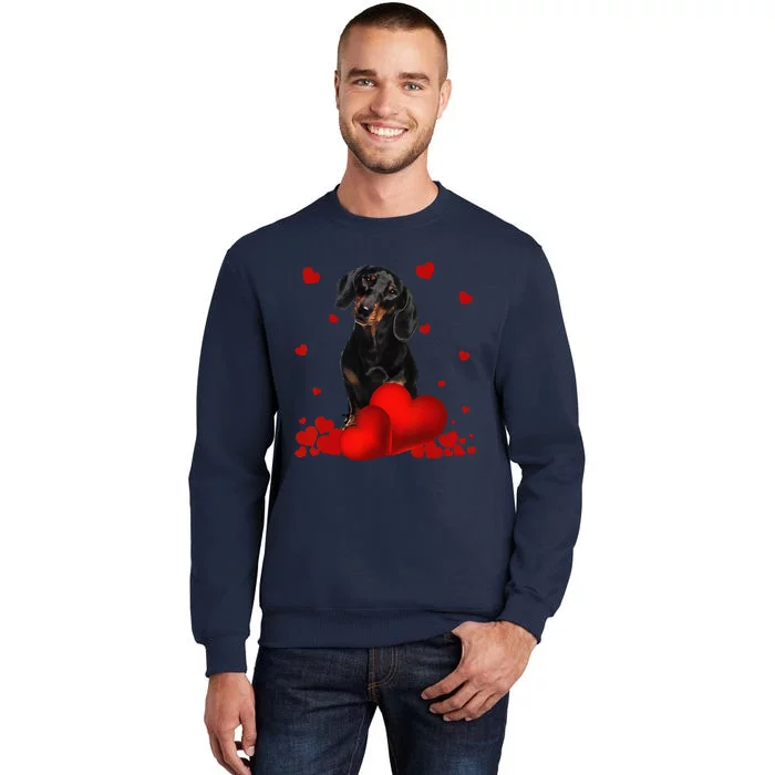 Valentines Day Love Hearts Dachshund Dog Puppy Lover Tall Sweatshirt