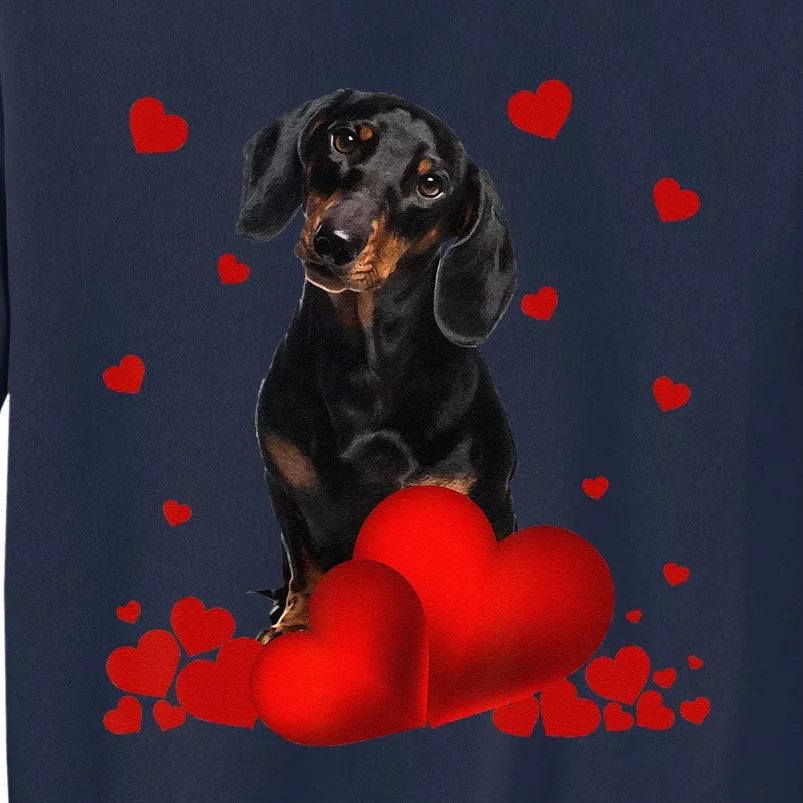 Valentines Day Love Hearts Dachshund Dog Puppy Lover Tall Sweatshirt