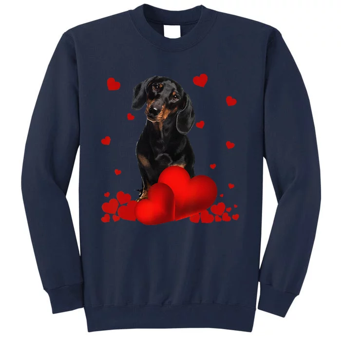 Valentines Day Love Hearts Dachshund Dog Puppy Lover Tall Sweatshirt