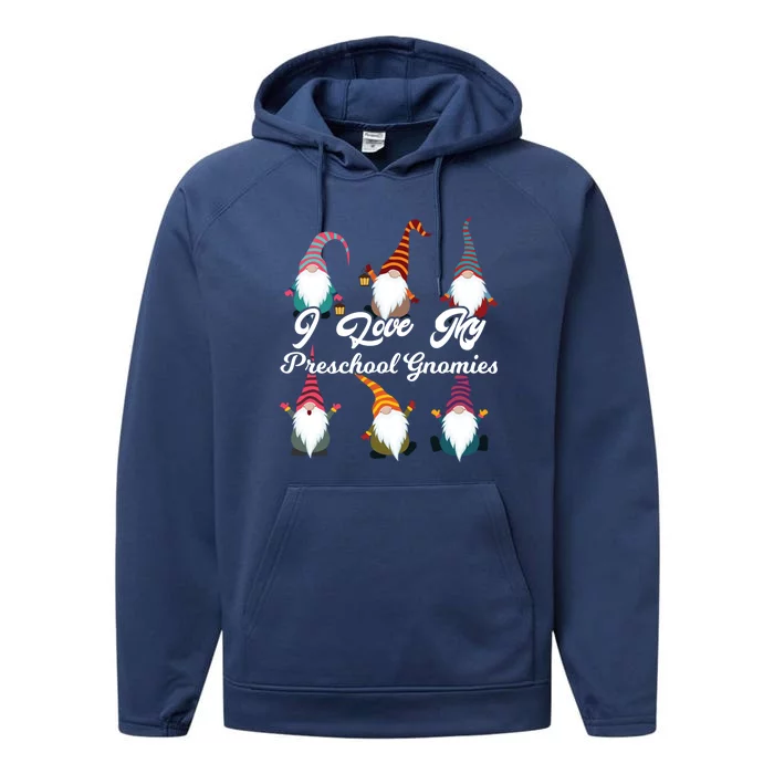 Valentines Day Preschool Teacher I Love My Gnomies Gift Performance Fleece Hoodie