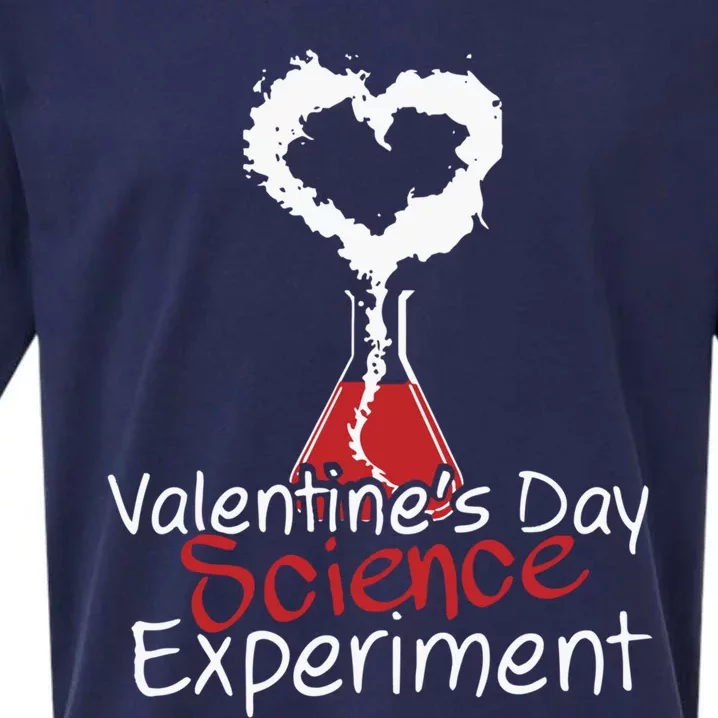 Valentines Day Science Experit Gift Sueded Cloud Jersey T-Shirt