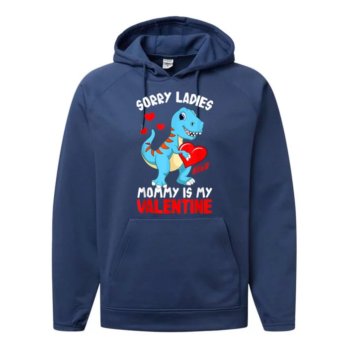 Valentines Day Sorry Ladies Mommy Is My Valentine Funny Gift Performance Fleece Hoodie