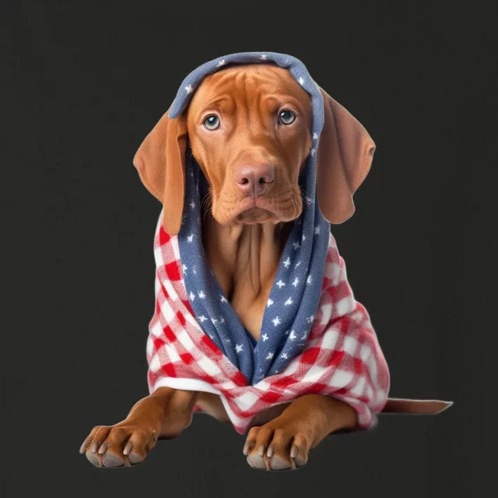 Vizsla Dog USA Flag American Patriotic Dogs 4th Of July Toddler Long Sleeve Shirt