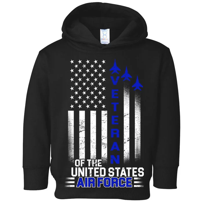 Veteran Of The United States Air Force Toddler Hoodie