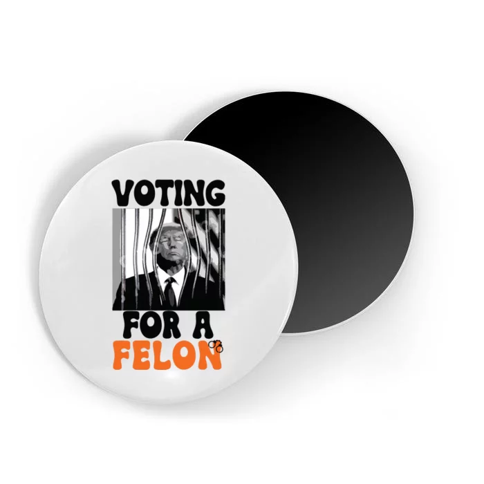 Voting For A Felon Magnet