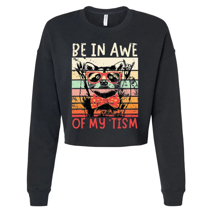 Vintage Funny Autism Be In Awe Of My Tism Adult Awe Tism Cropped Pullover Crew