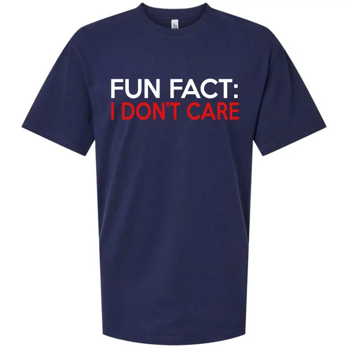 Vintage Fun Fact I DonT Care Sueded Cloud Jersey T-Shirt