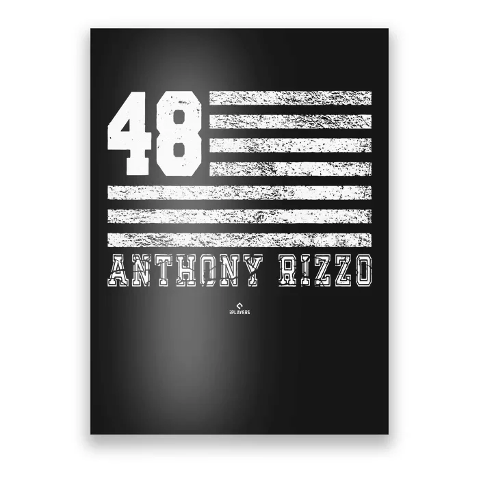 Vintage Flag Gameday Anthony Rizzo New York Poster