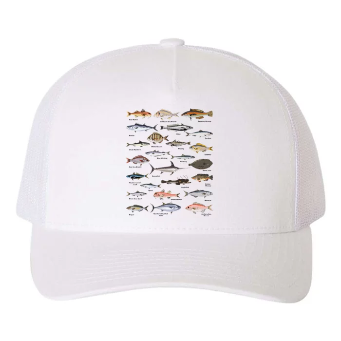 Vintage Fish Identification Chart Fishing Yupoong Adult 5-Panel Trucker Hat