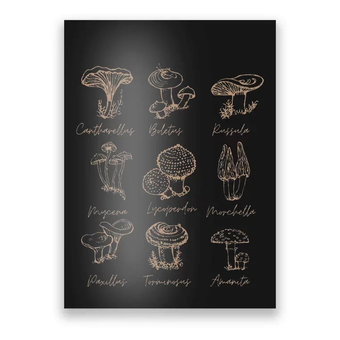 Vintage Fungi Mushroom Lover Mycology Goth Style Poster