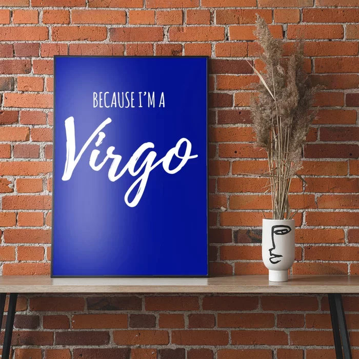 Virgo Funny Virgo Astrology Gift Funny Gift Poster