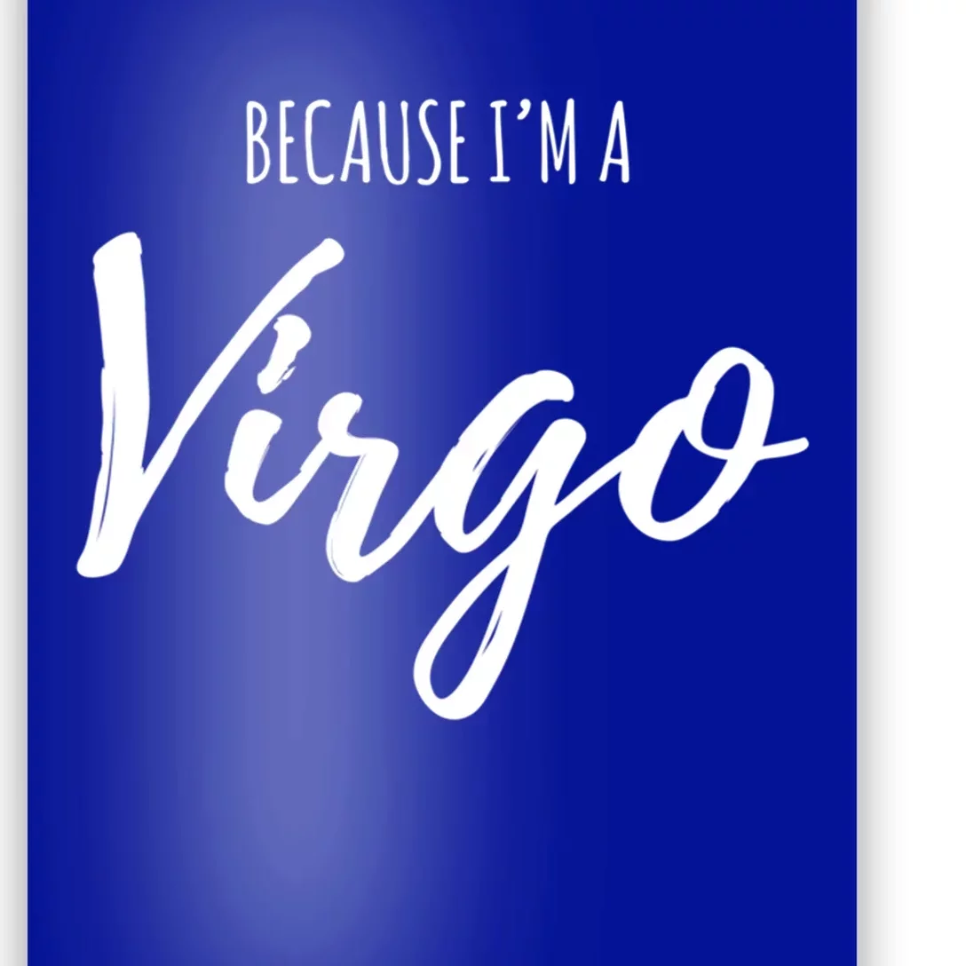 Virgo Funny Virgo Astrology Gift Funny Gift Poster