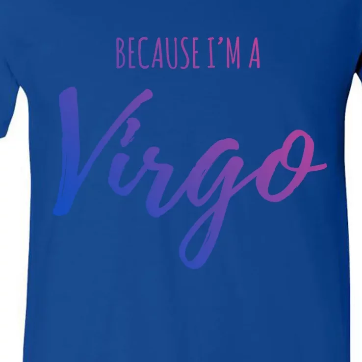 Virgo Funny Virgo Astrology Gift V-Neck T-Shirt