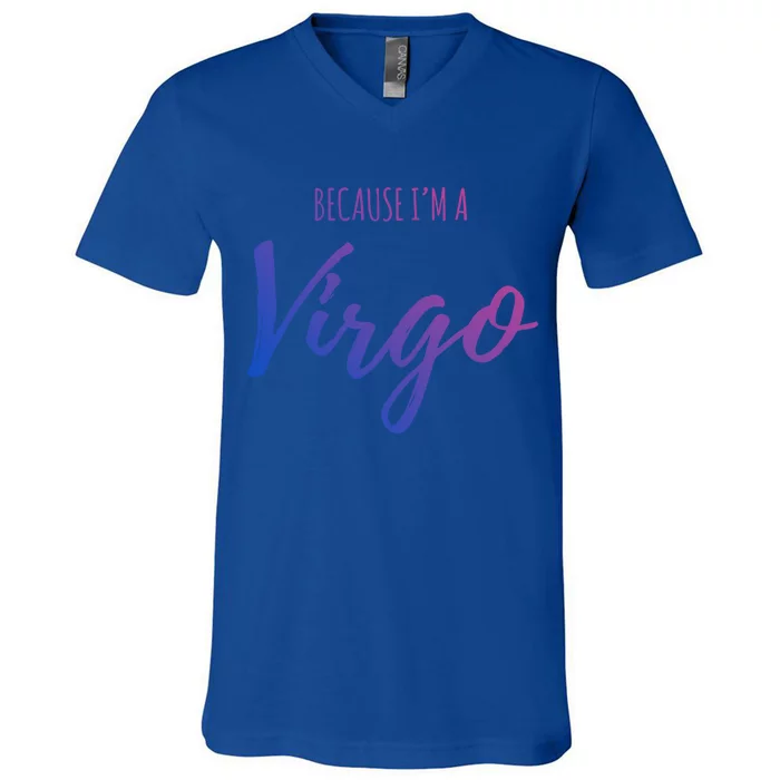 Virgo Funny Virgo Astrology Gift V-Neck T-Shirt