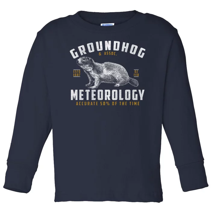 Vintage Groundhog's Day Meterology ESTD 1887 Toddler Long Sleeve Shirt