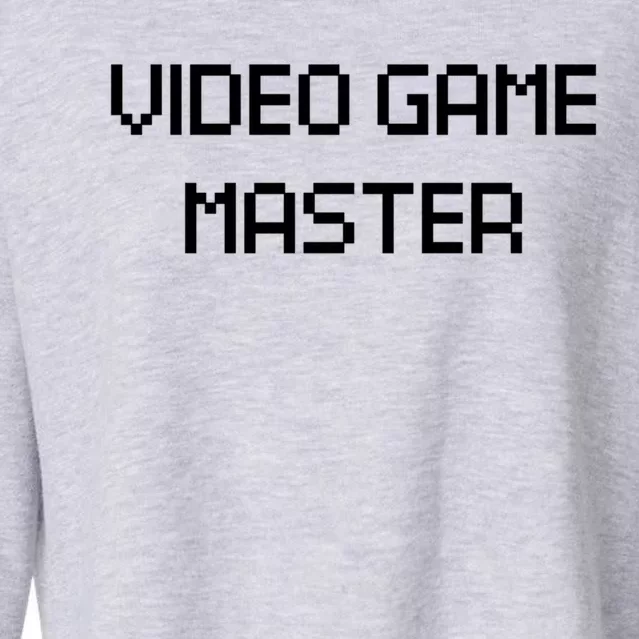 Video Game Master Funny Video Gamer Gift Meaningful Gift Cropped Pullover Crew