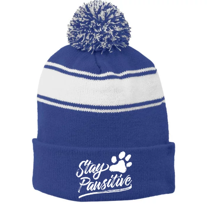 Veterinarian Gift Stay Pawsitive Great Gift Stripe Pom Pom Beanie