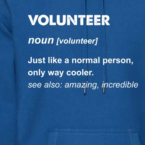 Volunteer Gift Premium Hoodie