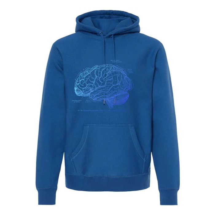 Vintage Hu Brain Anatomy Gift Premium Hoodie