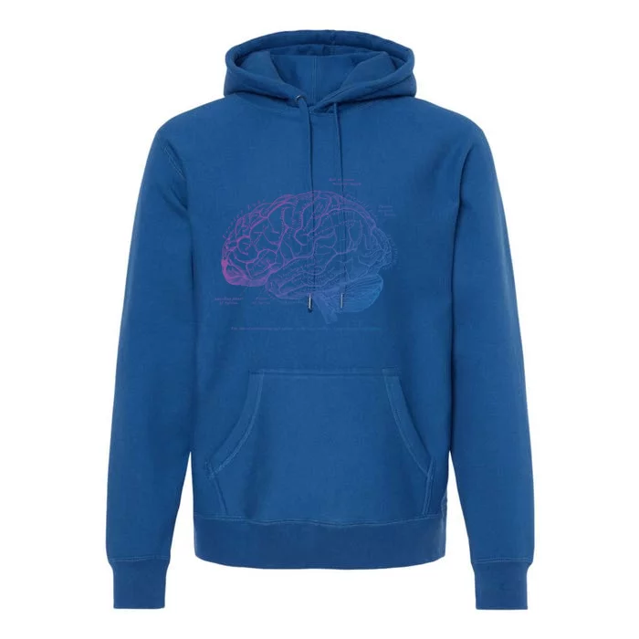 Vintage Hu Brain Anatomy Gift Premium Hoodie