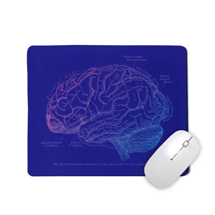 Vintage Hu Brain Anatomy Gift Mousepad