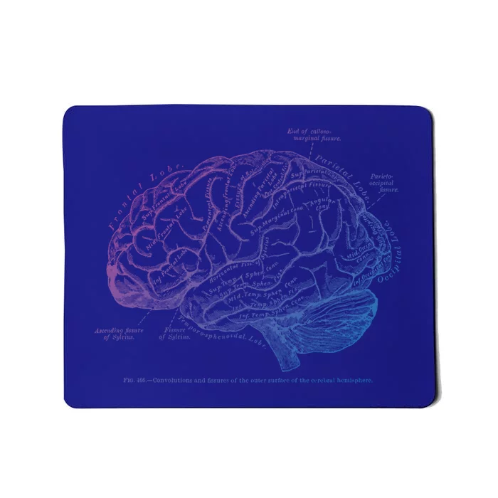 Vintage Hu Brain Anatomy Gift Mousepad