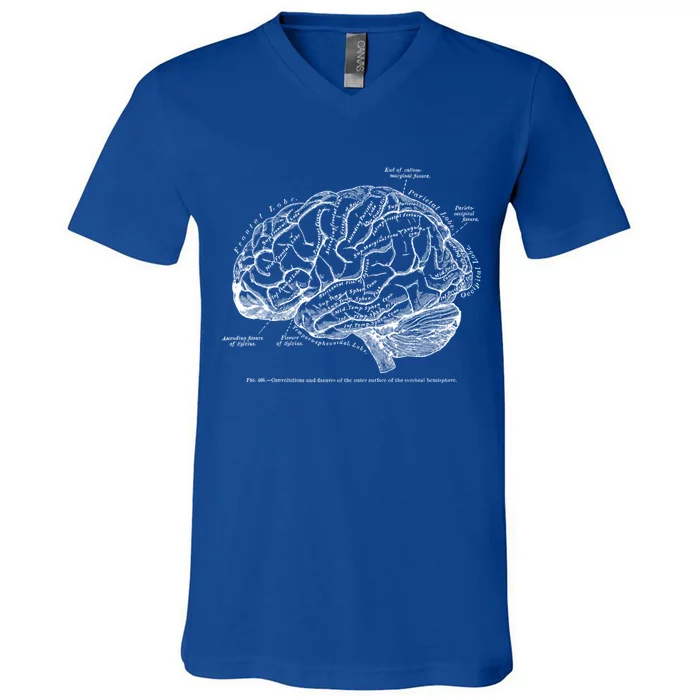 Vintage Hu Brain Anatomy Gift V-Neck T-Shirt