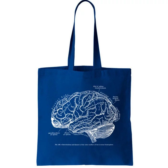 Vintage Hu Brain Anatomy Gift Tote Bag