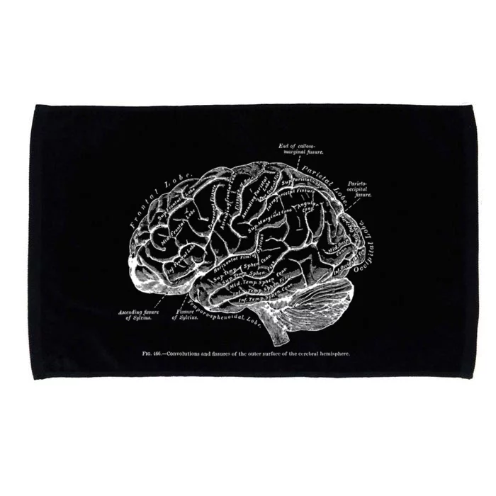 Vintage Hu Brain Anatomy Gift Microfiber Hand Towel