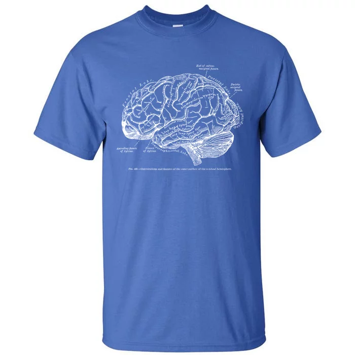 Vintage Hu Brain Anatomy Gift Tall T-Shirt