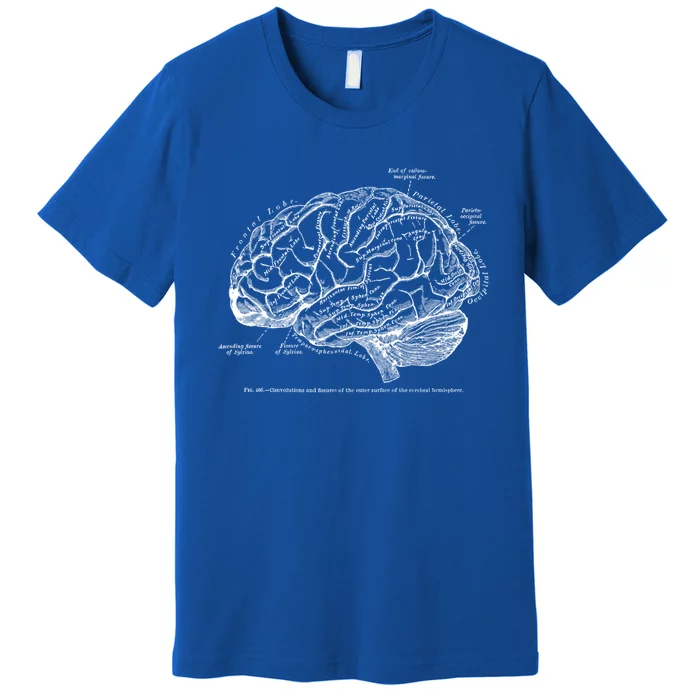 Vintage Hu Brain Anatomy Gift Premium T-Shirt