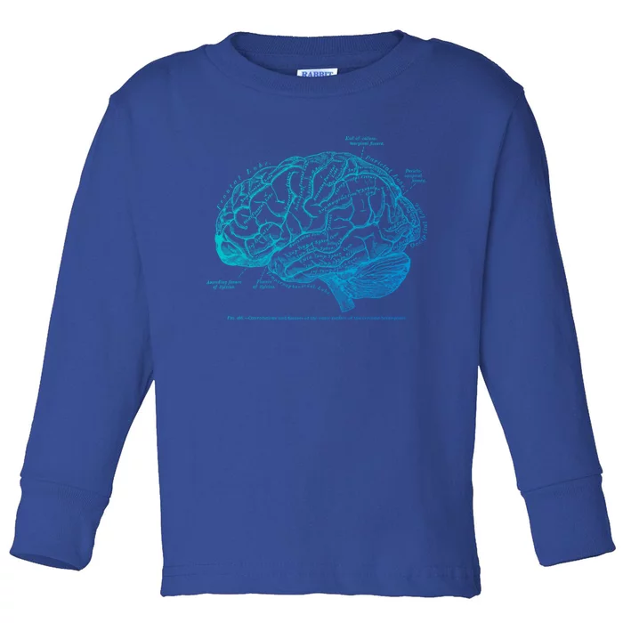 Vintage Hu Brain Anatomy Gift Toddler Long Sleeve Shirt