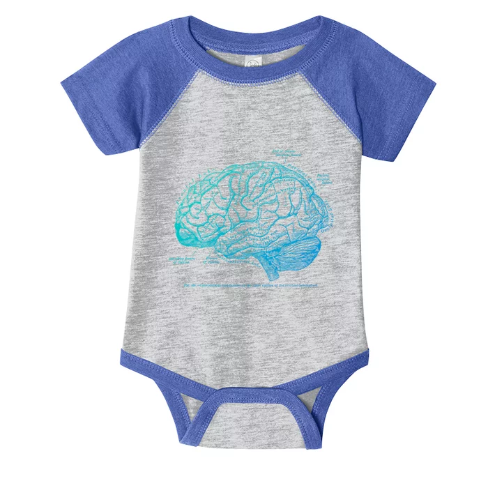 Vintage Hu Brain Anatomy Gift Infant Baby Jersey Bodysuit