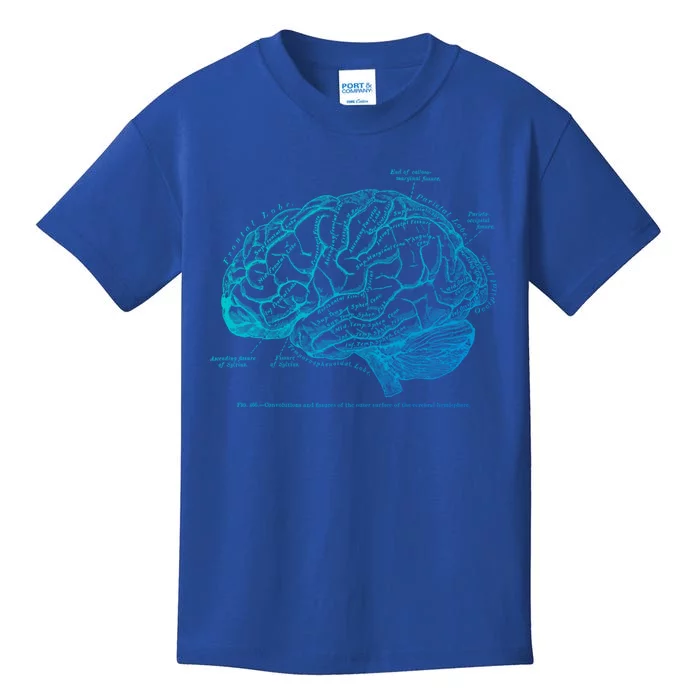 Vintage Hu Brain Anatomy Gift Kids T-Shirt