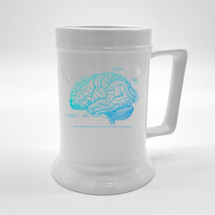 Vintage Hu Brain Anatomy Gift Front & Back Beer Stein