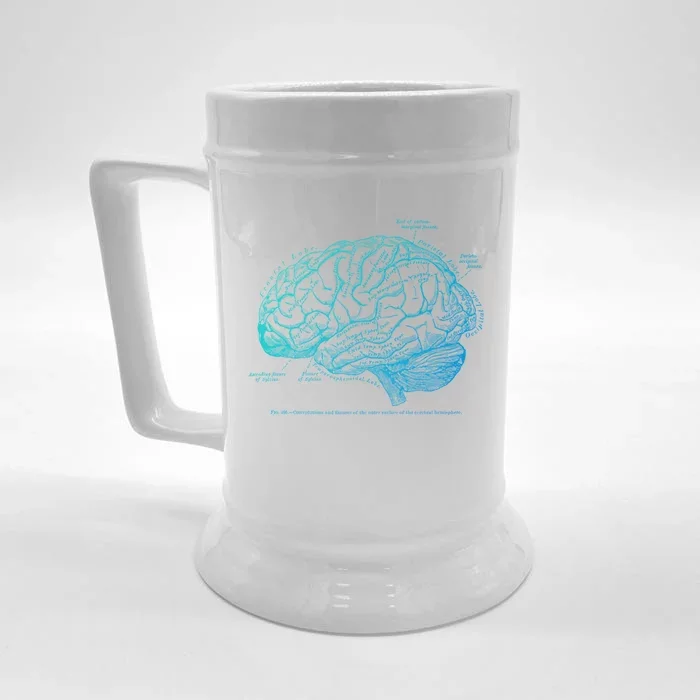 Vintage Hu Brain Anatomy Gift Front & Back Beer Stein