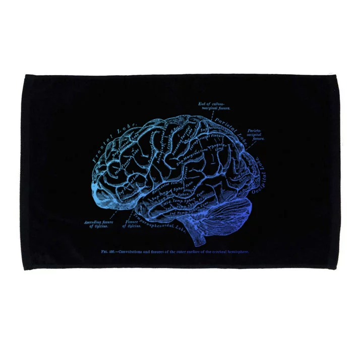 Vintage Hu Brain Anatomy Gift Microfiber Hand Towel