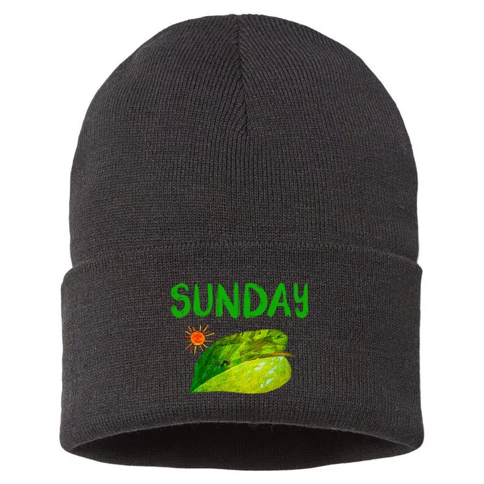 Very Hungry Caterpillar Sunday Fruits Birthday Caterpillar Sustainable Knit Beanie