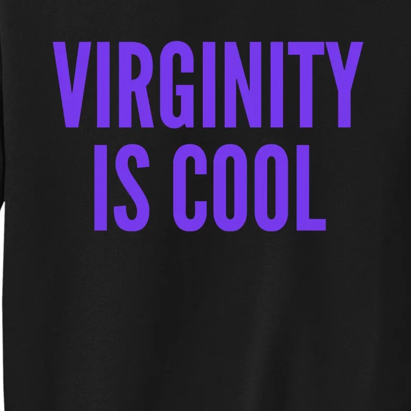 Virginity Is Cool Rock This Funny Virgin Fashion Sweatshirt