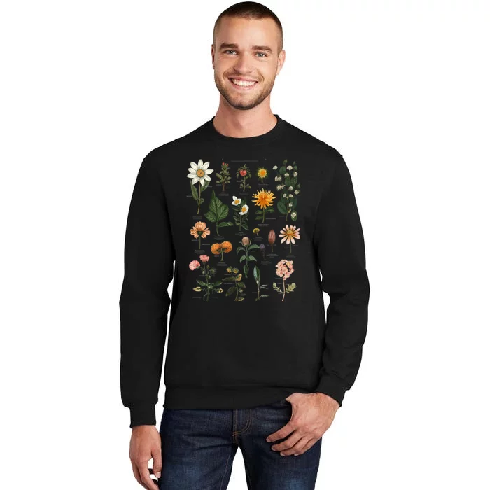 Vintage Inspired Flower Botanical Chart Tees Tall Sweatshirt