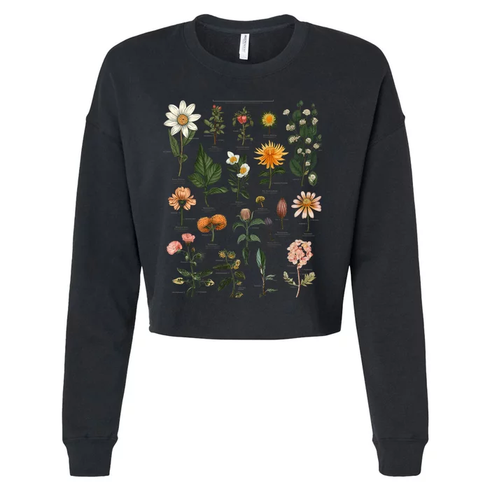 Vintage Inspired Flower Botanical Chart Tees Cropped Pullover Crew