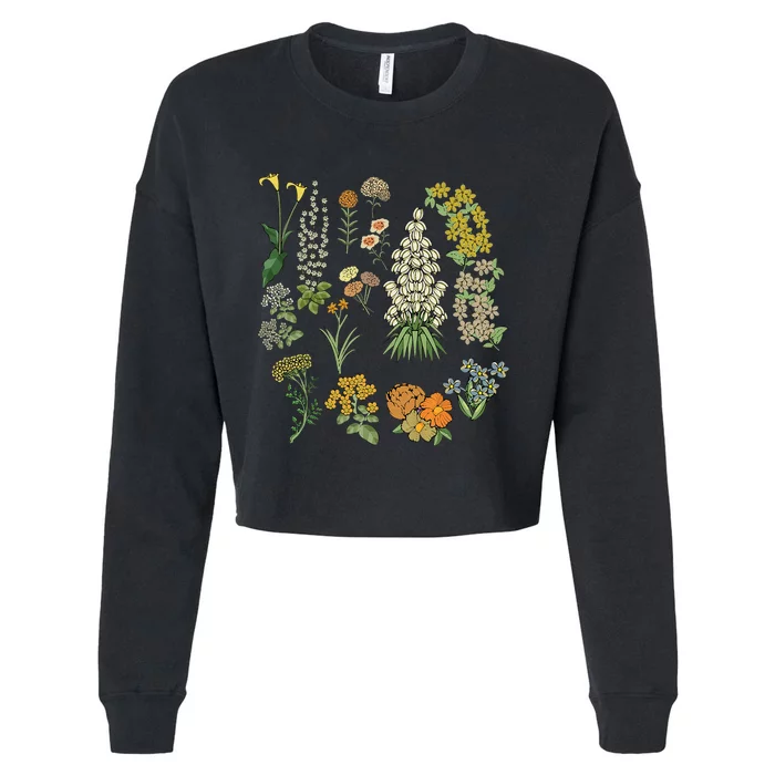 Vintage Inspired Flower Botanical Plants Nature Green Garden Cropped Pullover Crew