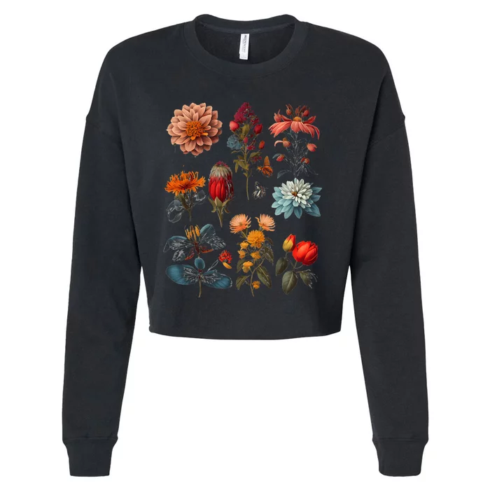 Vintage Inspired Flower Botanical Chart Cropped Pullover Crew