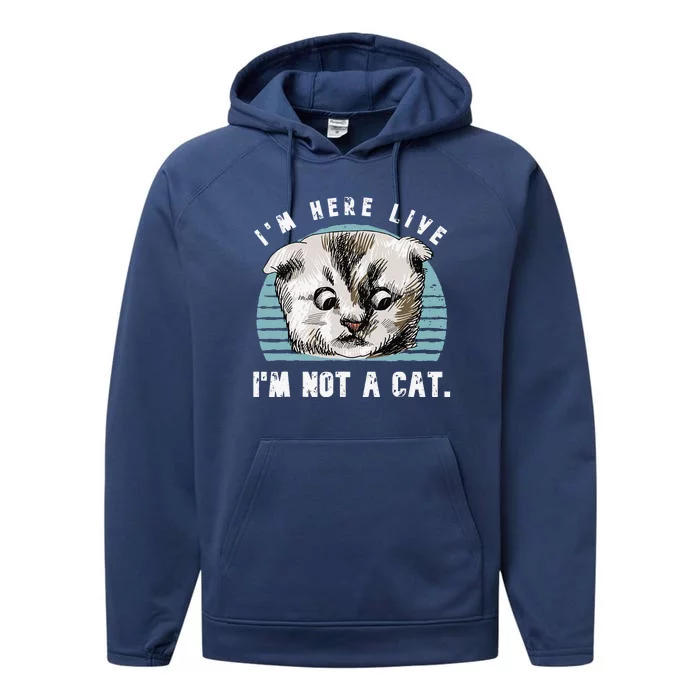 Vintage Im Here Live Im Not A Cat Funny Cats Lovers Gift Performance Fleece Hoodie